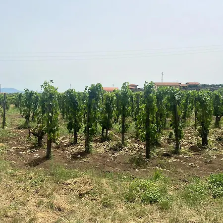 Ferienhaus La Vigna Di Maggi