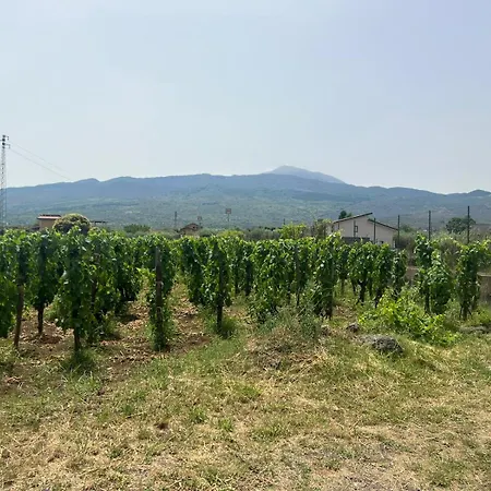 La Vigna Di Maggi